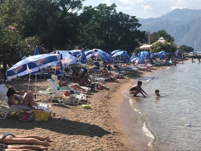 Villa Nikola Kotor Exteriör bild