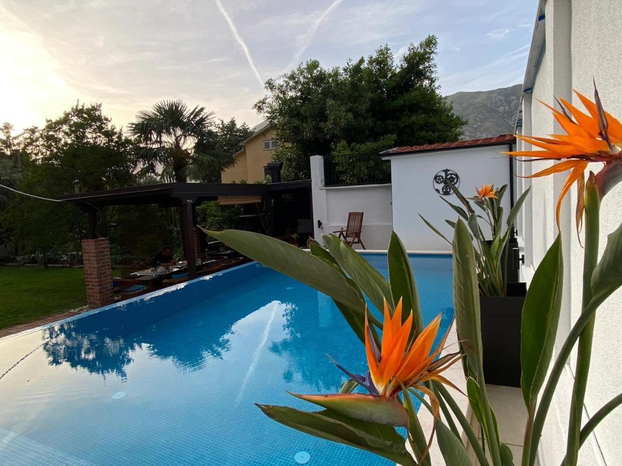 Villa Nikola Kotor Exteriör bild